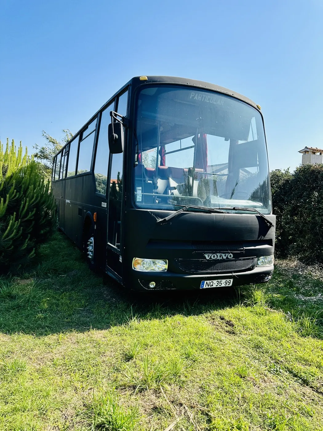 The bus